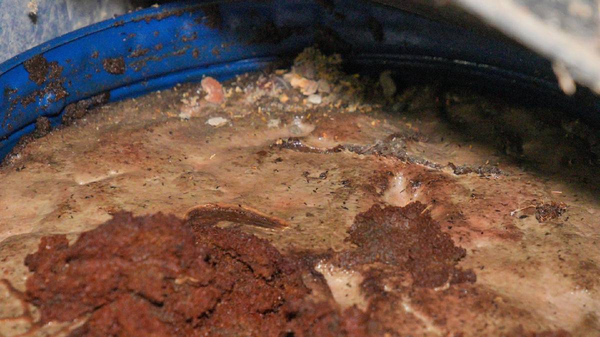 Seyhan Belediyesinden tavizsiz denetim: Sağlığı tehdit eden salçalar imha edildi