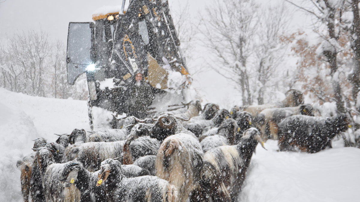 Kar ve tipi hayatı durdurdu: 4 ilde 925 yol kapandı