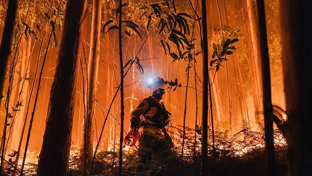 Kıbrıs Adası'ndan daha büyük bir alan yandı: AB tarihinin en kötü yılı