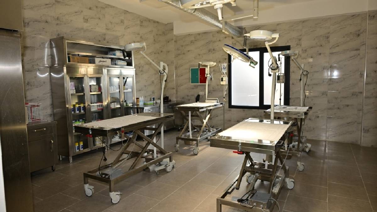 Manisa’da hayvanseverlere müjdeli haber:: Sarıalan kapatılıyor, nakil başlıyor