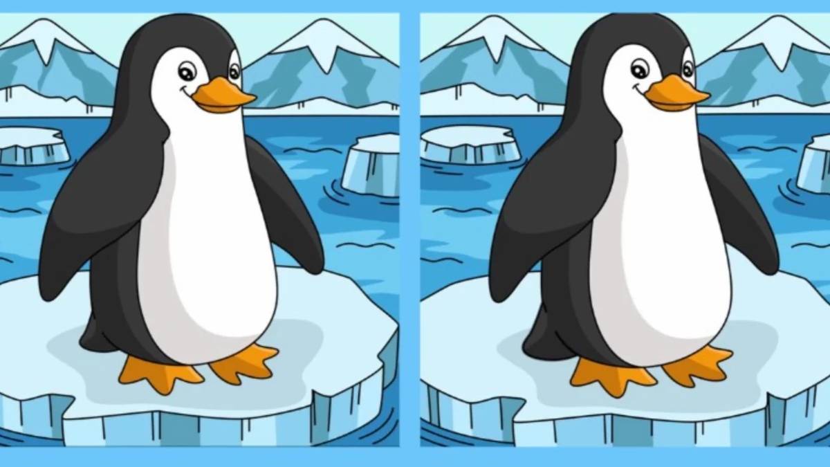 Sadece dahi beyinler fark ediyor! 12 saniyede penguenli resimdeki 3 farkı bulabilecek misiniz?