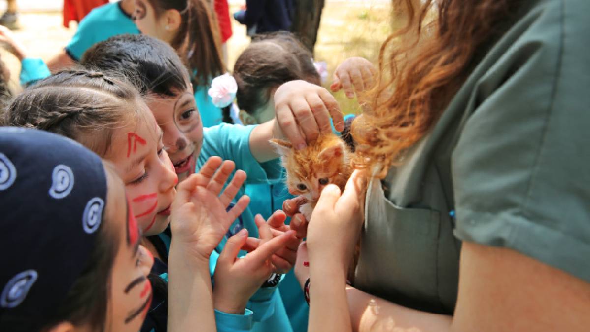 Bursa Büyükşehir patili dostların yanında: 2025 yılında 50.000’in üzerinde tedavi gerçekleştirildi