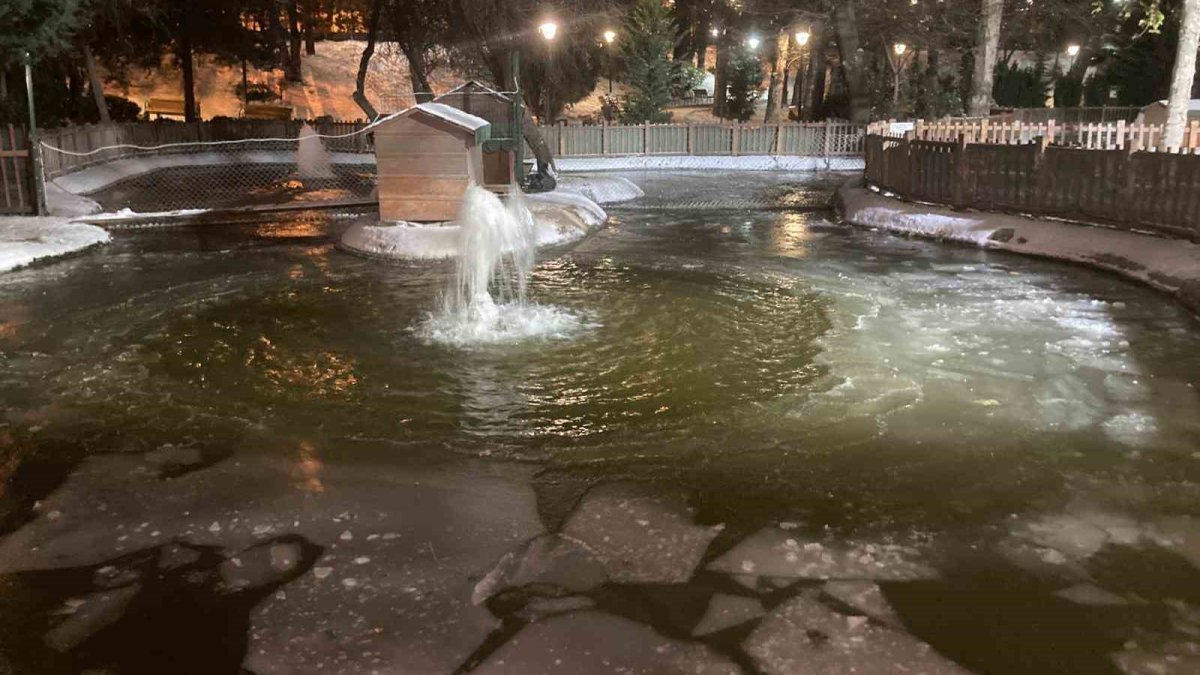 Ankara eksi 11 dereceyi gördü, Kuğulu Park buz tuttu