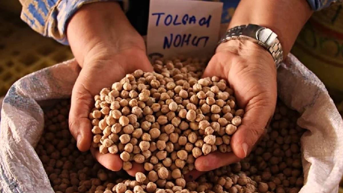 Araştırma: Nohut tüketimi kolesterolü düşürüyor