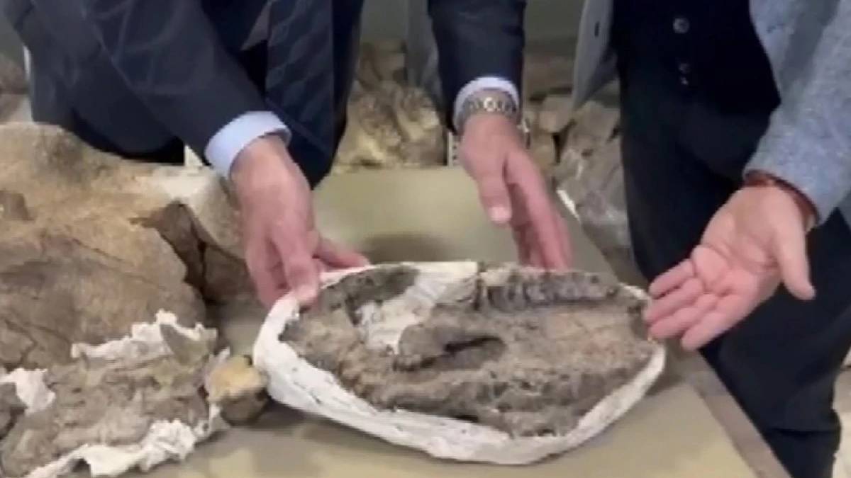 Yaklaşık 30 milyon yıllık dev fosil Iğdır'da gün yüzüne çıktı