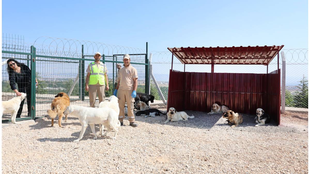 Büyükşehirden 2025’te doğaya ve can dostlara tam destek