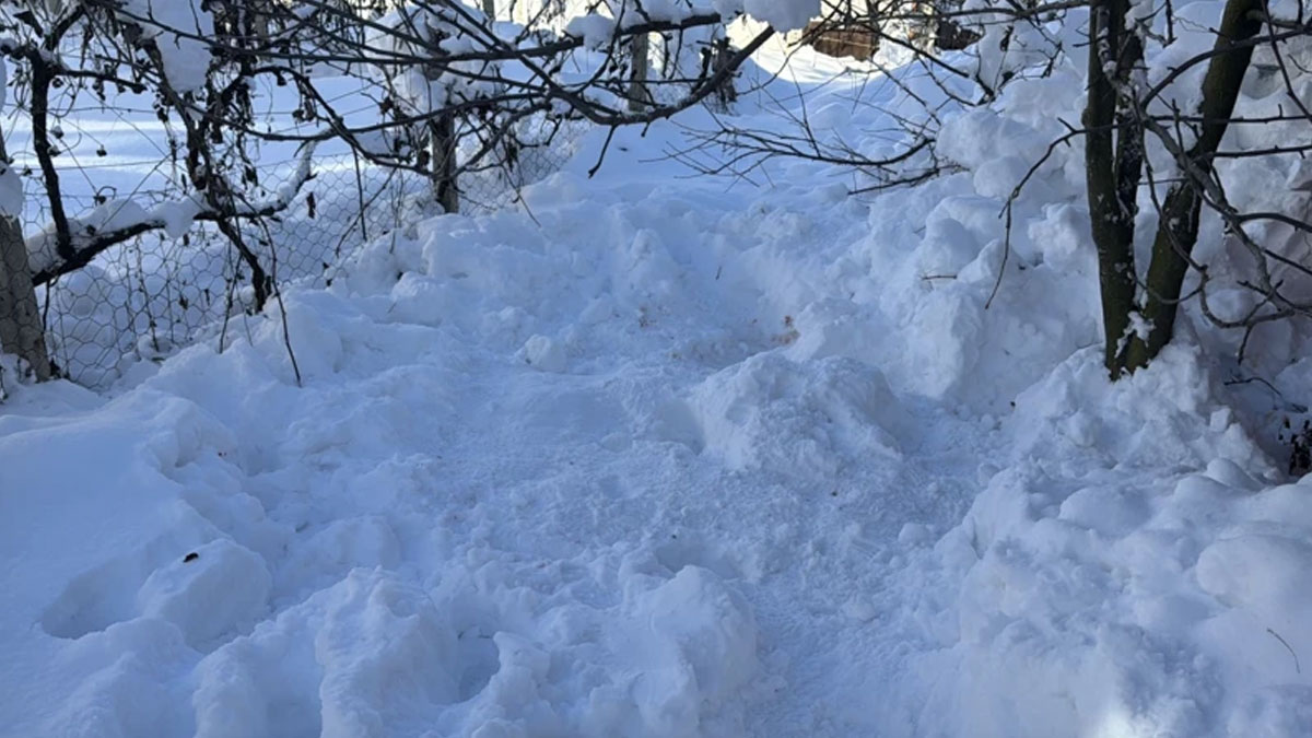 Karabük'te acı olay: Yaşlı kadın evinde donarak öldü