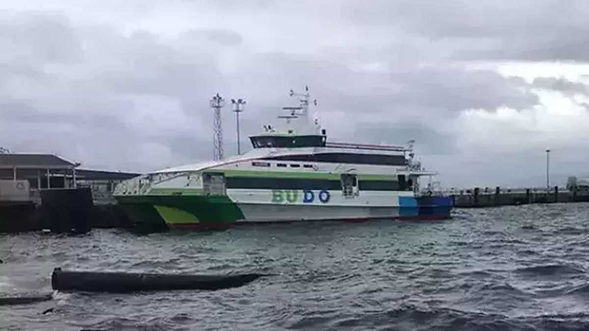 BUDO seferlerine hava engeli: 8 vapur iptal