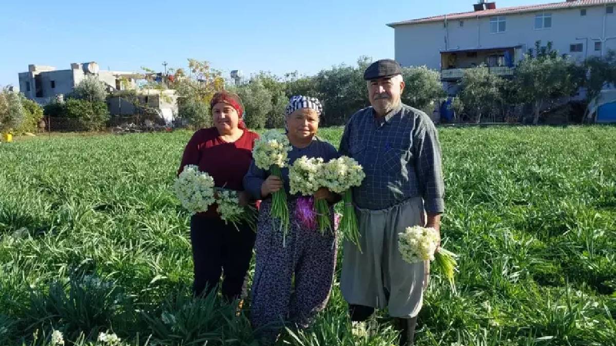 Alternatif olarak ekildi, üreticilerin yeni gözdesi oldu! Siparişlere yetişmenin imkanı yok