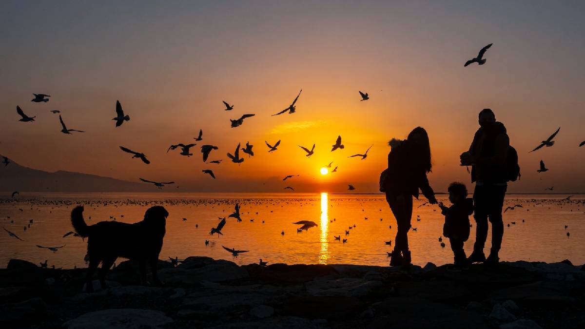 Kardeş Kadrajlar Uluslararası Fotoğraf Yarışması başlıyor