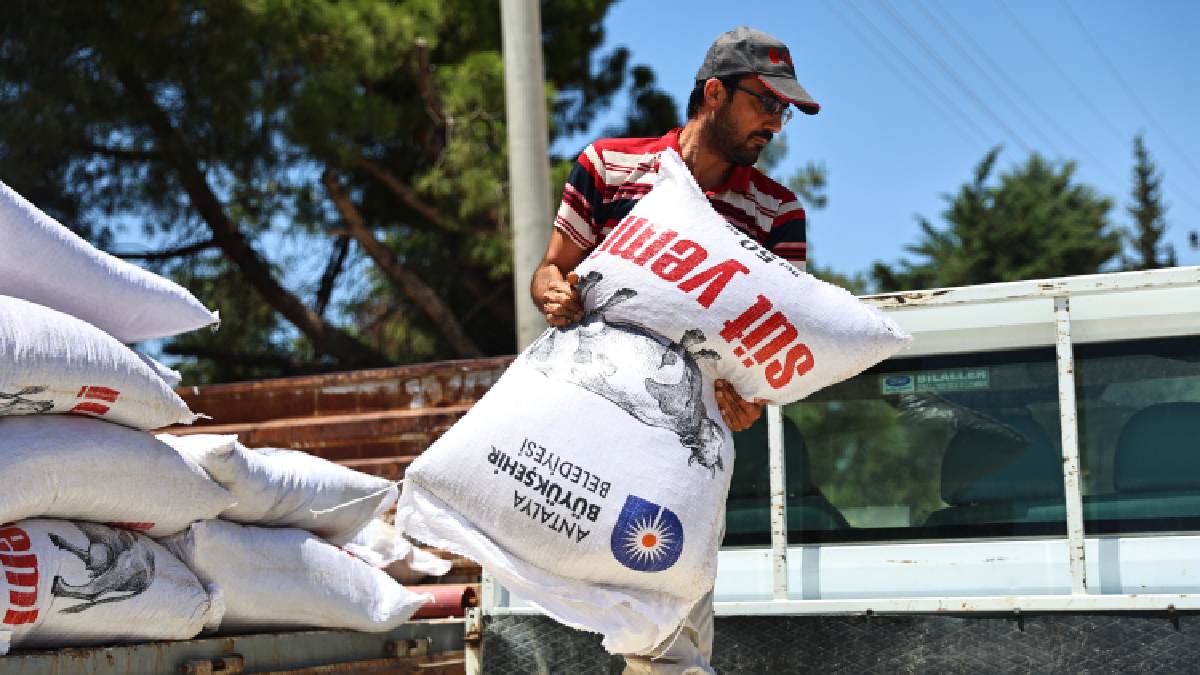 Büyükşehir'den 2025 yılında hayvancılığa 503 bin 625 kg yem desteği