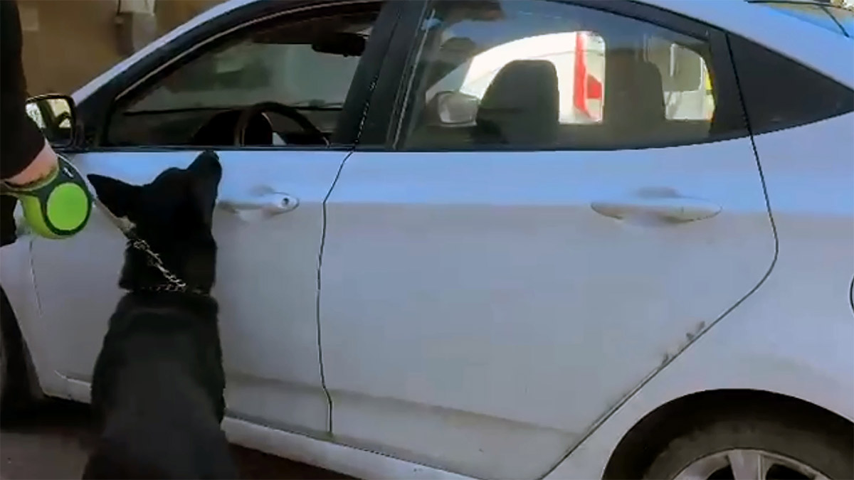 Adana'da narkotik operasyonu: Araçtan 66 bin 600 uyuşturucu hap çıktı