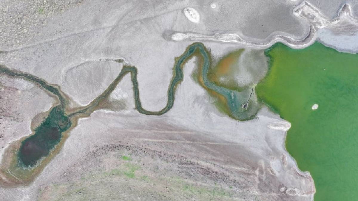 Kabaklı Göleti’nde tehlike büyüyor: "Kuş cenneti" kuruma riskiyle karşı karşıya