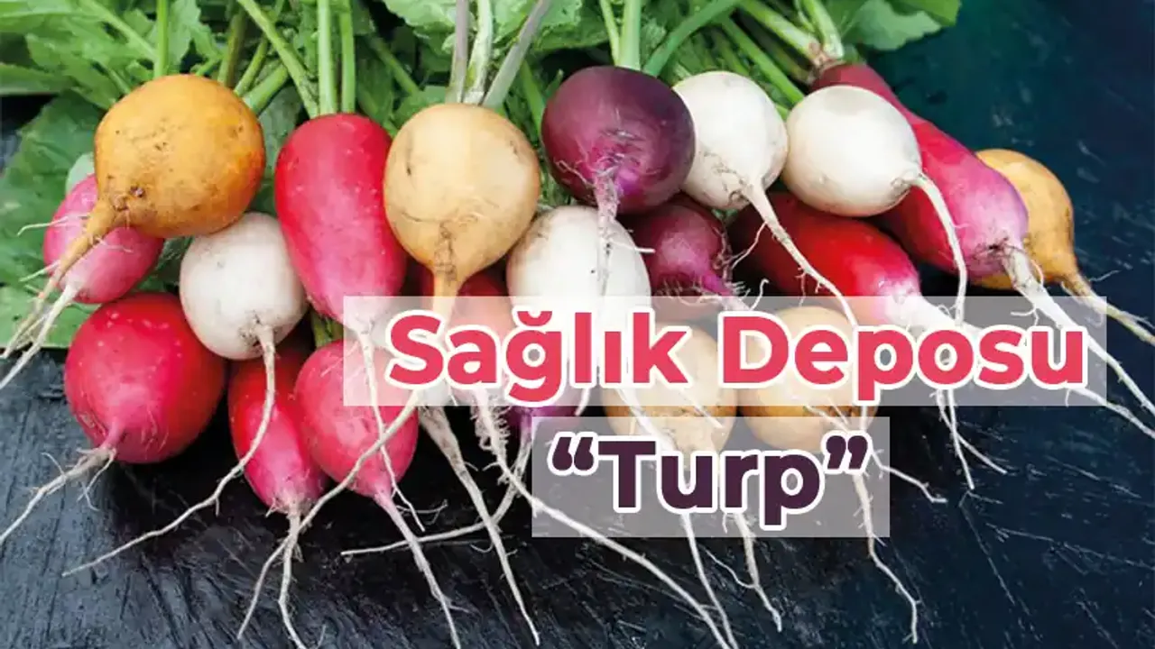 Pazar tezgahlarının en güçlüsü: İşte turp tüketmek için 4 önemli neden!