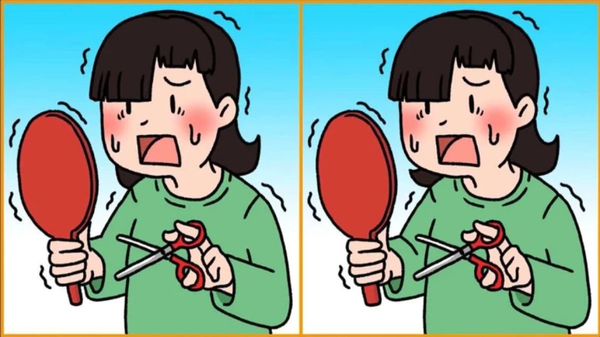 Sadece dahiler geçebiliyor! 12 saniyede 3 farkı bulun, IQ seviyenizi ölçün