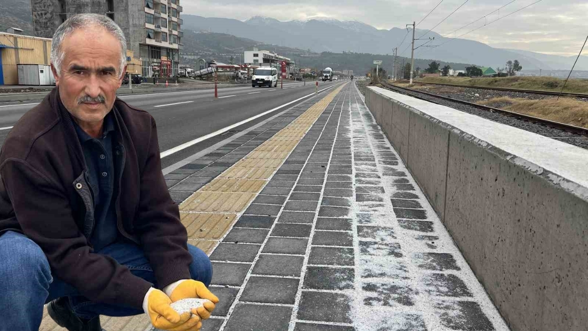 Yol kenarlarından topluyorlar, bahçede kullanıyorlar! Hem boşa gitmiyor hem para kazandırıyor