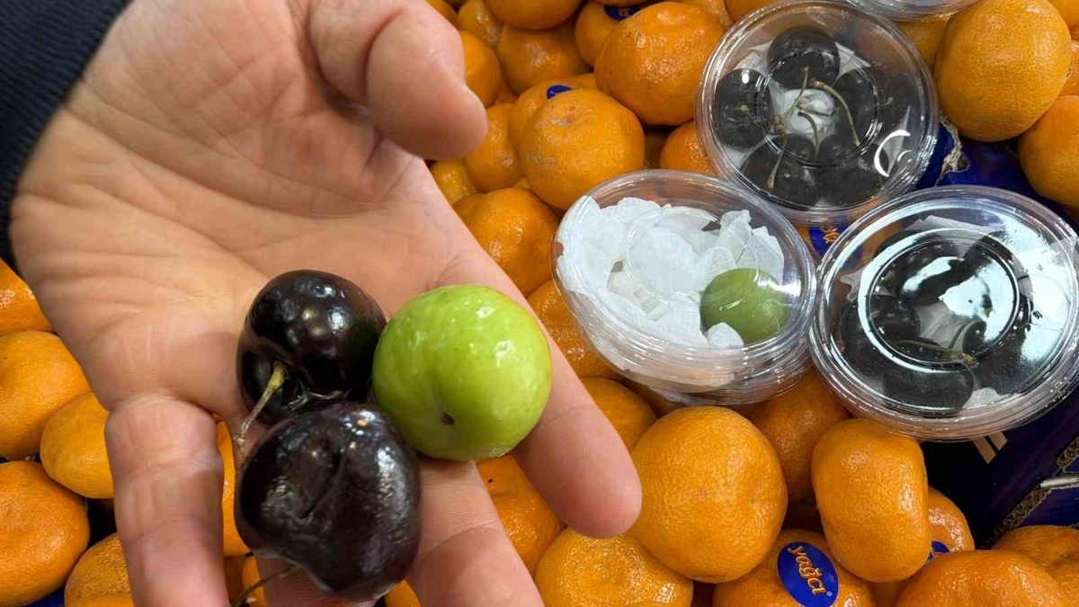Kışın bulunmuyor, yurtdışından getiriliyor! Bu meyveler özellikle aşerenler için Singapur’dan geliyor