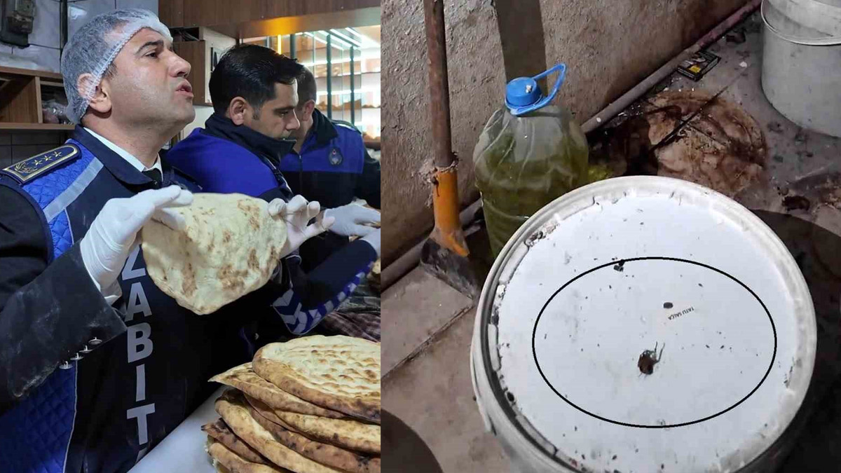 Fırın denetiminde akılalmaz manzara: 'Fareyi geçtim, yılan çıkacak'
