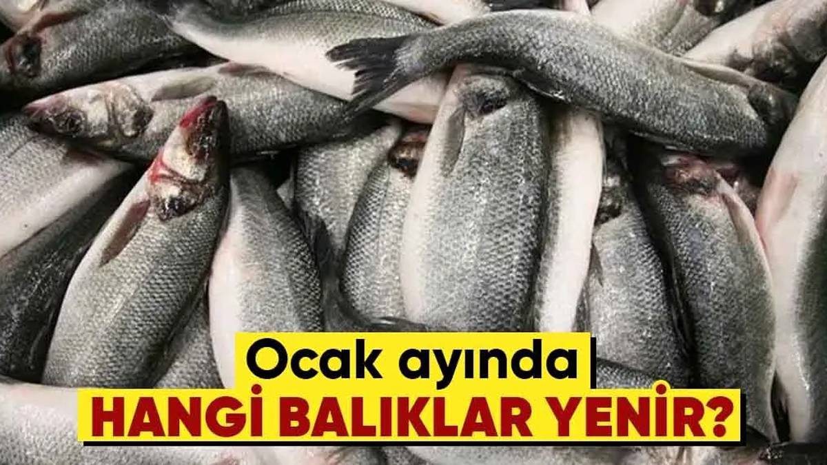 Balık mevsimi rehberi: Ocak ayında hangi balık yenir?