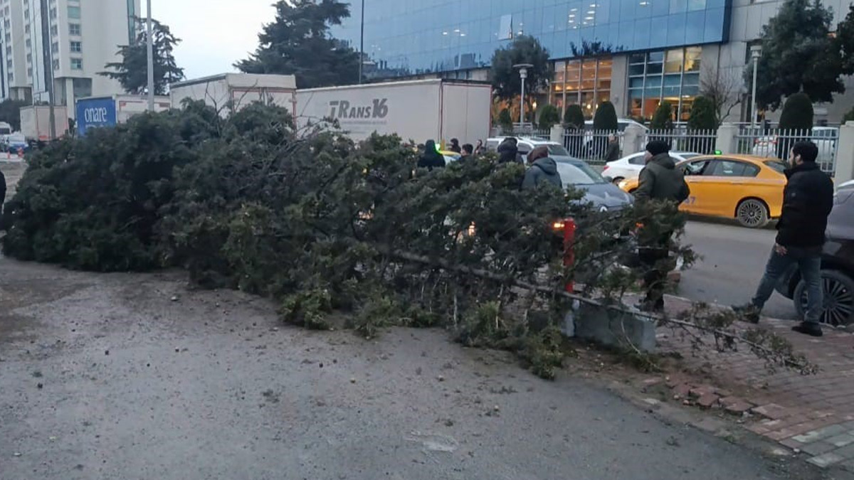 Bahçelievler’de şiddetli rüzgar ağacı devirdi: 1 kişi yaralandı