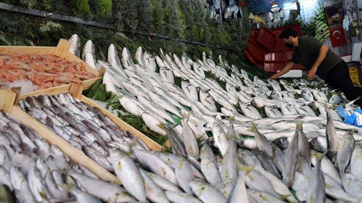 Denizden balık fışkırdı kilosu 100 liraya tezgaha indi: Hamsi azaldı ama ilgi ona yöneldi