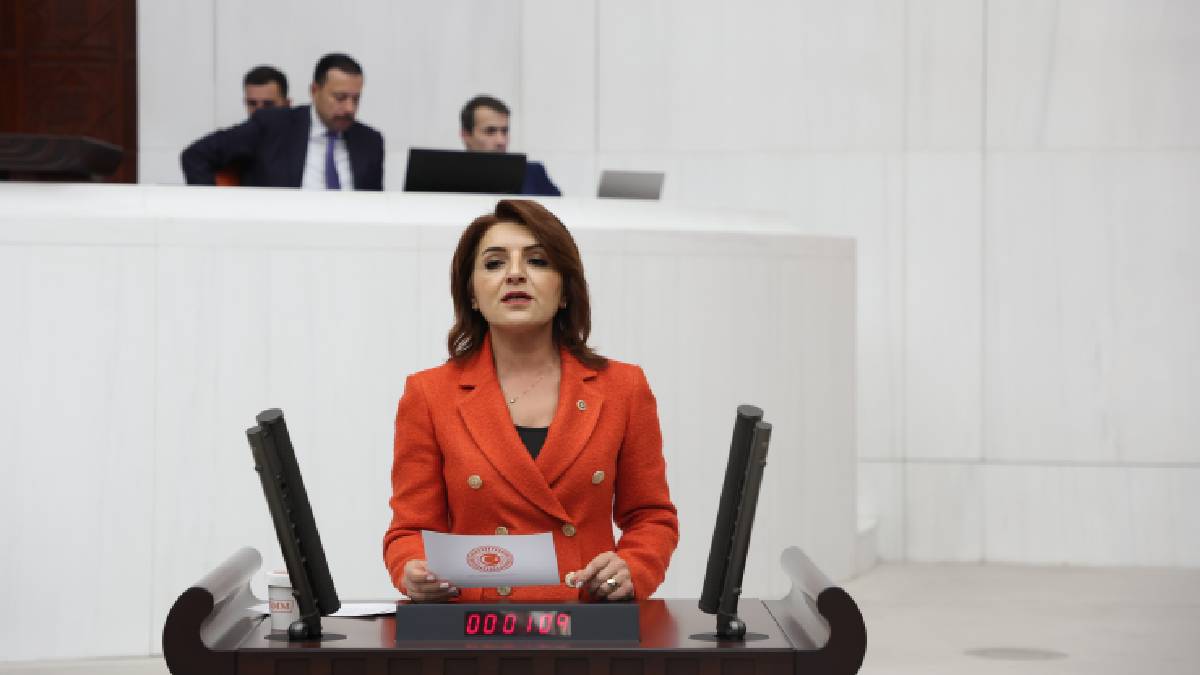 CHP Mersin Milletvekili Gülcan Kış’tan 10 Ocak Çalışan Gazeteciler Günü mesajı