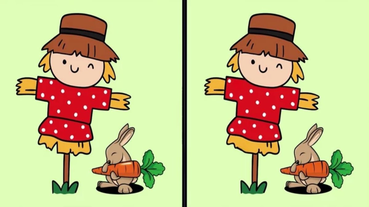 Sadece yüksek IQ’lu kişiler fark ediyor: İki resim arasındaki 3 farkı 14 saniyede bulabilir misiniz?