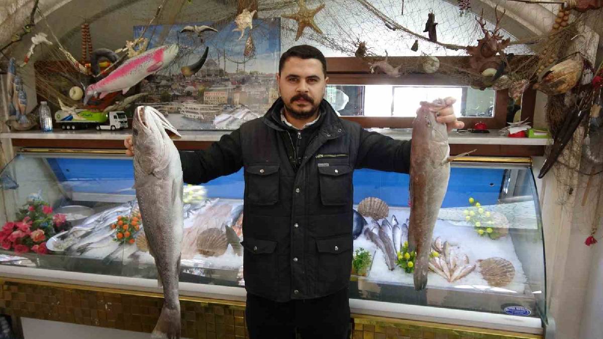 Gaziantep mutfağında tercihler değişiyor! Kebabın tahtını balık salladı: Talep gün geçtikçe artıyor
