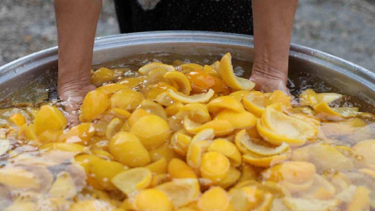 Tarlada 5 TL’ye satılıyor kimse yemiyor! Kadınların elinde dönüşüp değer kazanıyor: Kilosu 300 TL’den damlası bile kalmıyor