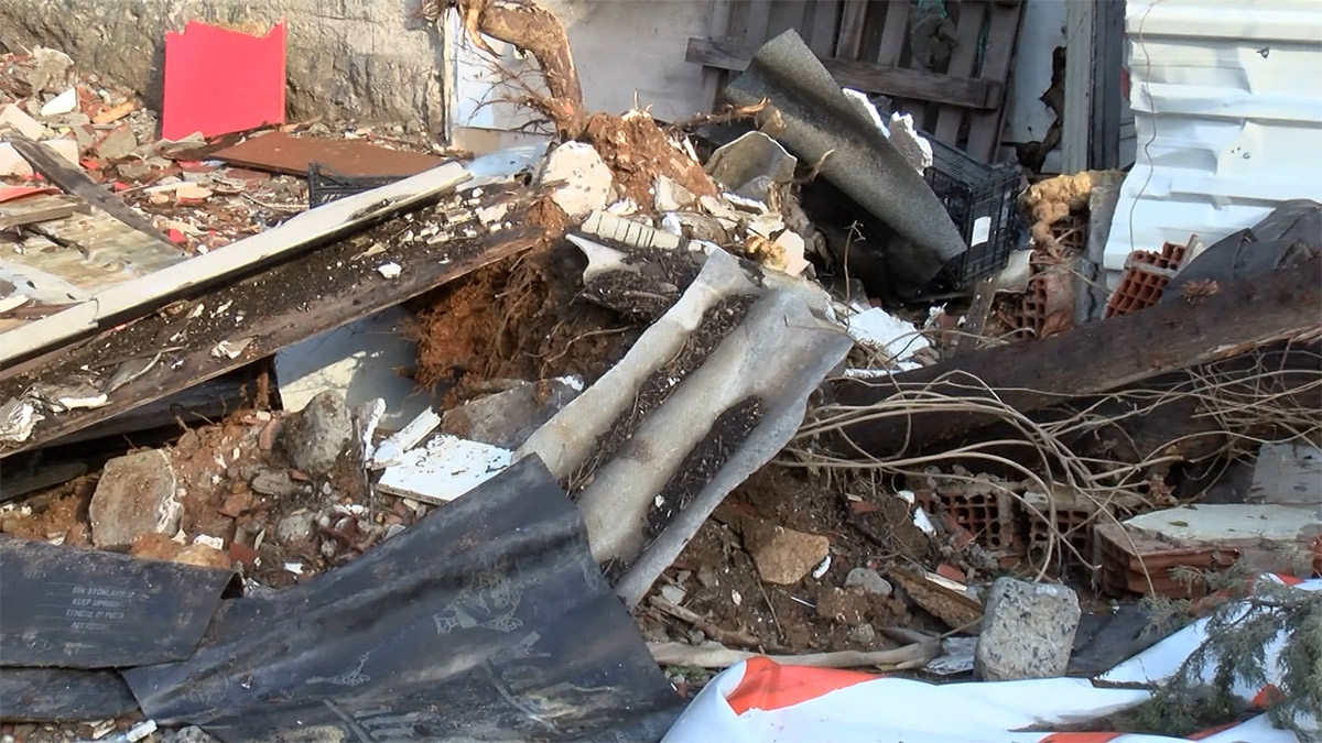 Maltepe'de kökünden kopan ağaç otomobilin üzerine devrildi