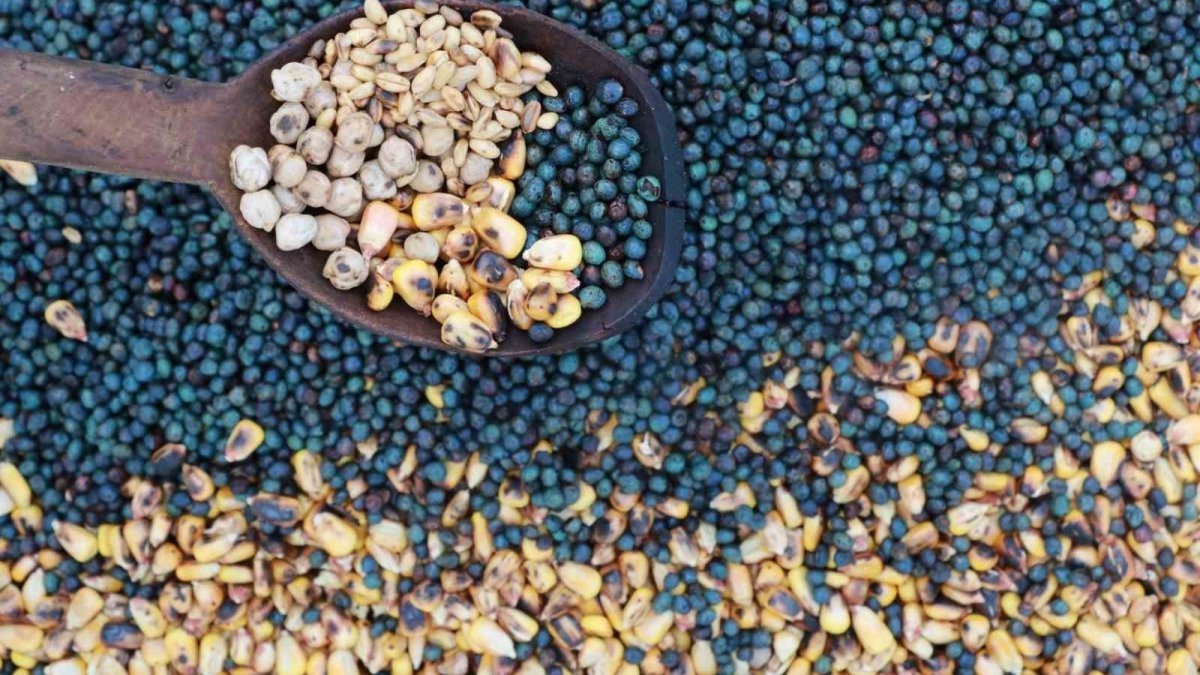 Evliya Çelebi'nin sırrı ortaya çıktı! Üşümeyi kesiyor, kana kan katıyor! İşte Anadolu'nun unutulan 'Atom'u