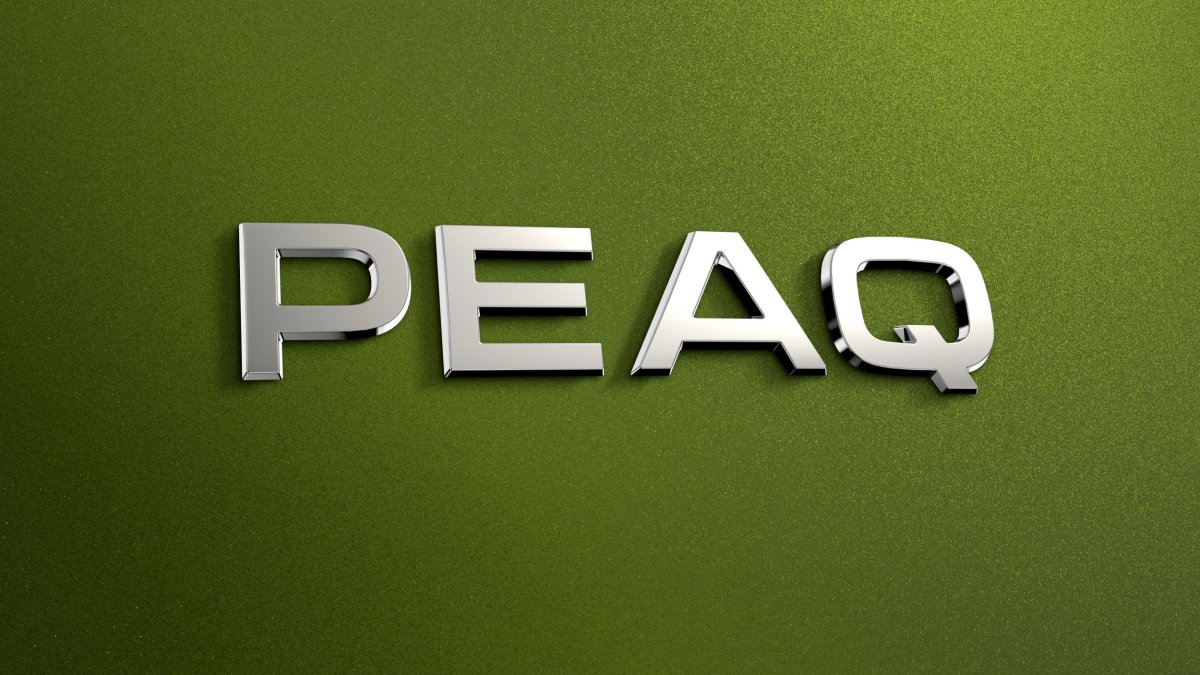 Skoda'nın yeni SUV modeli 'Peaq' ismiyle geliyor