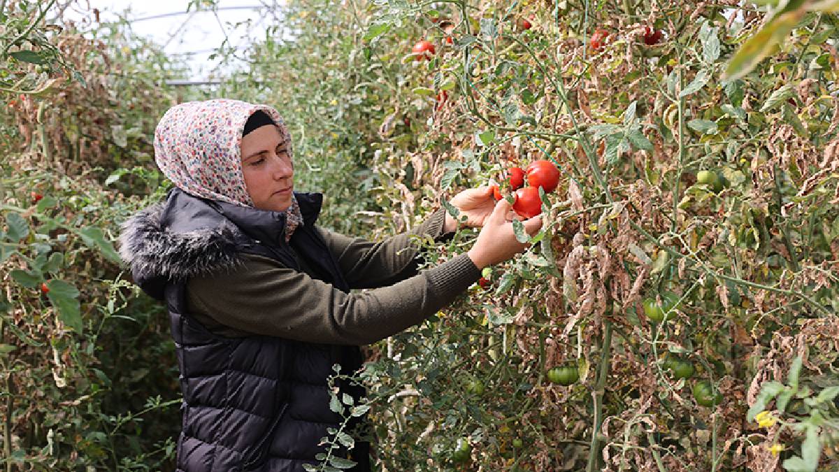 Kendi işletmesini kurdu, hem patron hem işçi oldu! 20 kişiye iş kapısı oluyor, ekonomiyi canlandırıyor