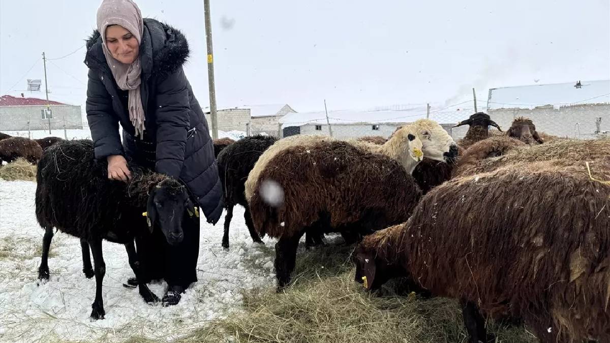 Devlet destekliyor sayıları artıyor! 3 yılda 99 binden 150 bine çıkan artış: Kırsalda kadın üreticiler de güçleniyor