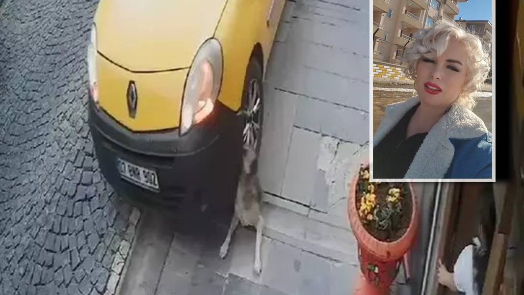 Şaşkınlık yaratan karar: 'Mardinli Marilyn' Melek Akarmut 'ifşa' suçundan hapse girdi