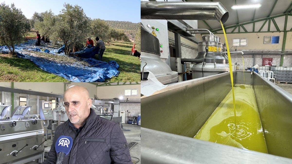 Devlet desteği alan muhtar tesis kurdu, üretim başladı: Mahallenin geçim kaynağı burası oldu!