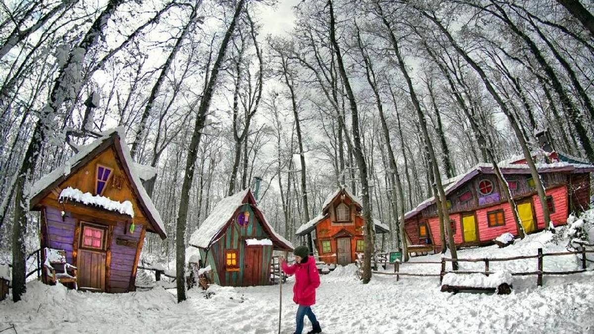 Avrupa’nın en büyüğü Türkiye’de! Kocaeli’nin Ormanya’sı beyaza büründü, duru haliyle ziyaretçilerini ağırlıyor