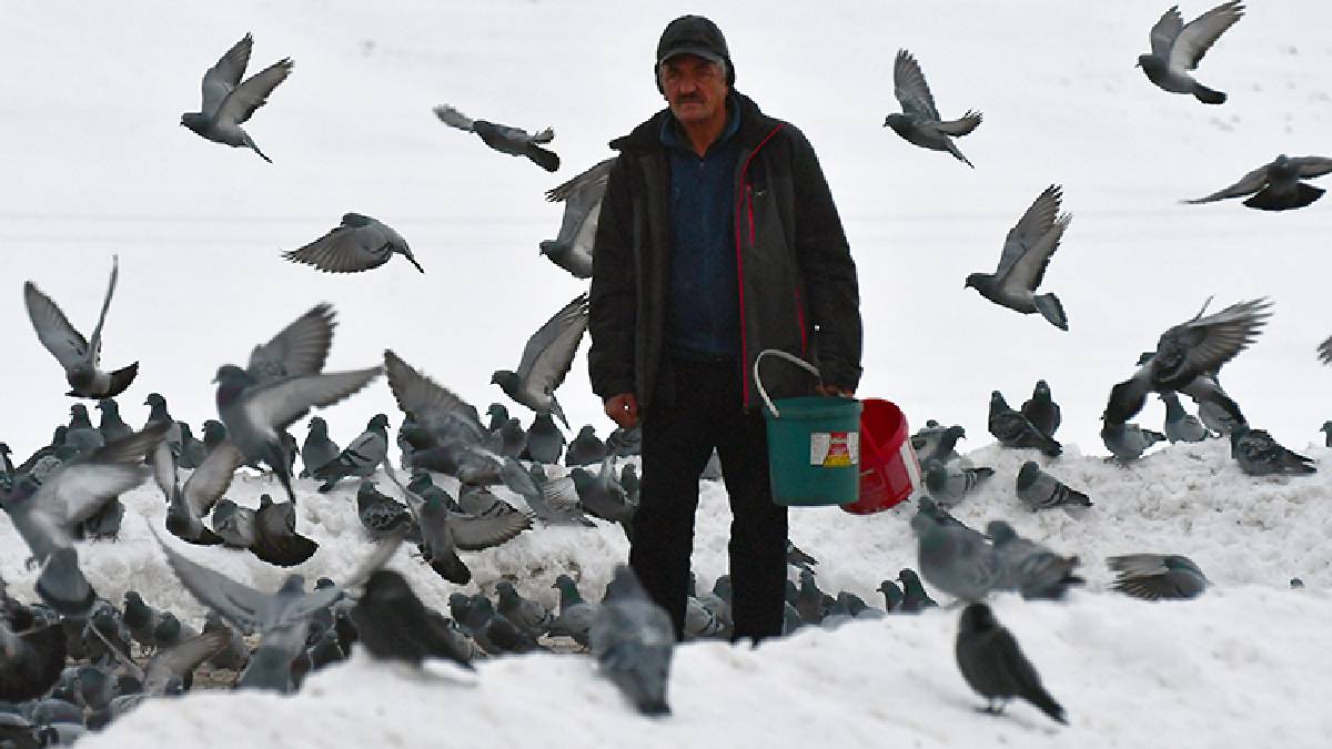 Sabah erkenden kalkıyor, kuşlara ‘Sofra’ kuruyor! Kar kıyamet engel olmuyor: Yılda 2 ton buğday tüketiliyor