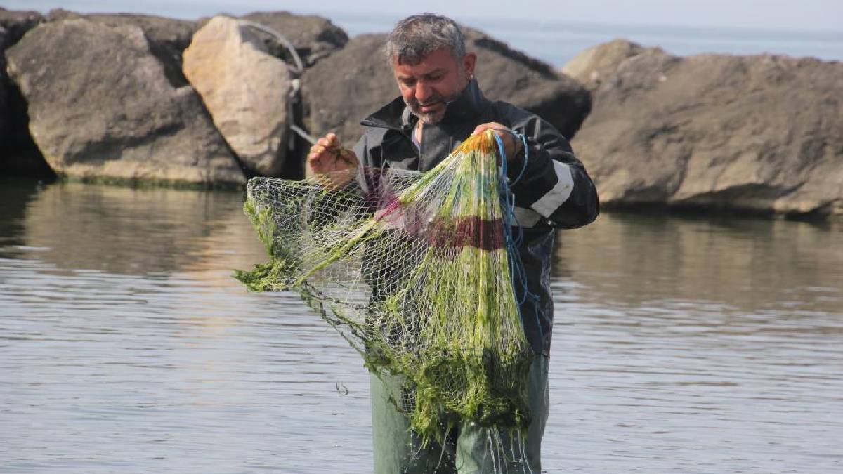 Günde 5 saat çalışıyor, dede mesleğini sürdürüyor! Saçma avcılığıyla günlük 50 kilo yakalıyor
