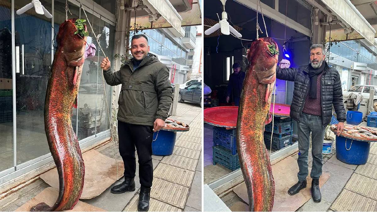 Kimse kolay kolay bulamıyor! 2 metrelik boyu 85 kiloluk ağırlığıyla ilgi odağı oldu! Kilosu 500 TL