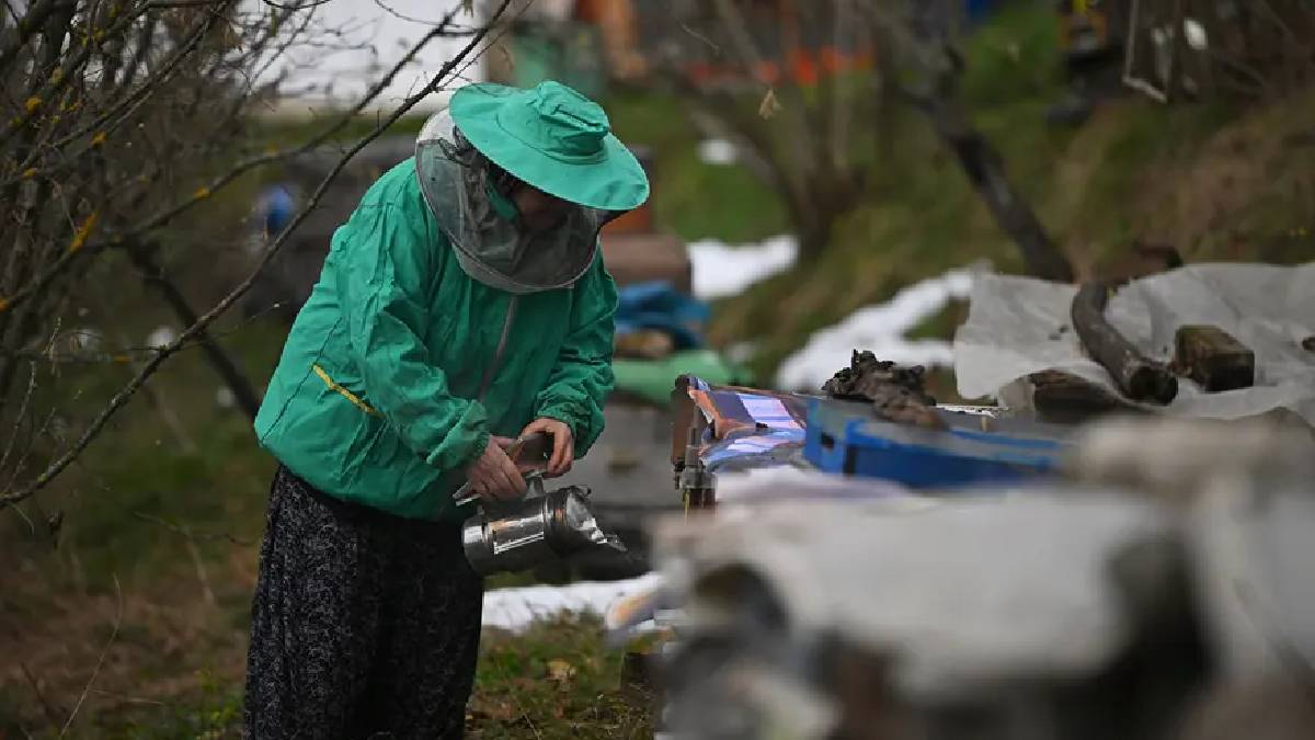45 yıldır ata mesleğini sürdürüyor! Eğitim ve destekle işini büyüttü: Yılda 1 ton üretime ulaştı