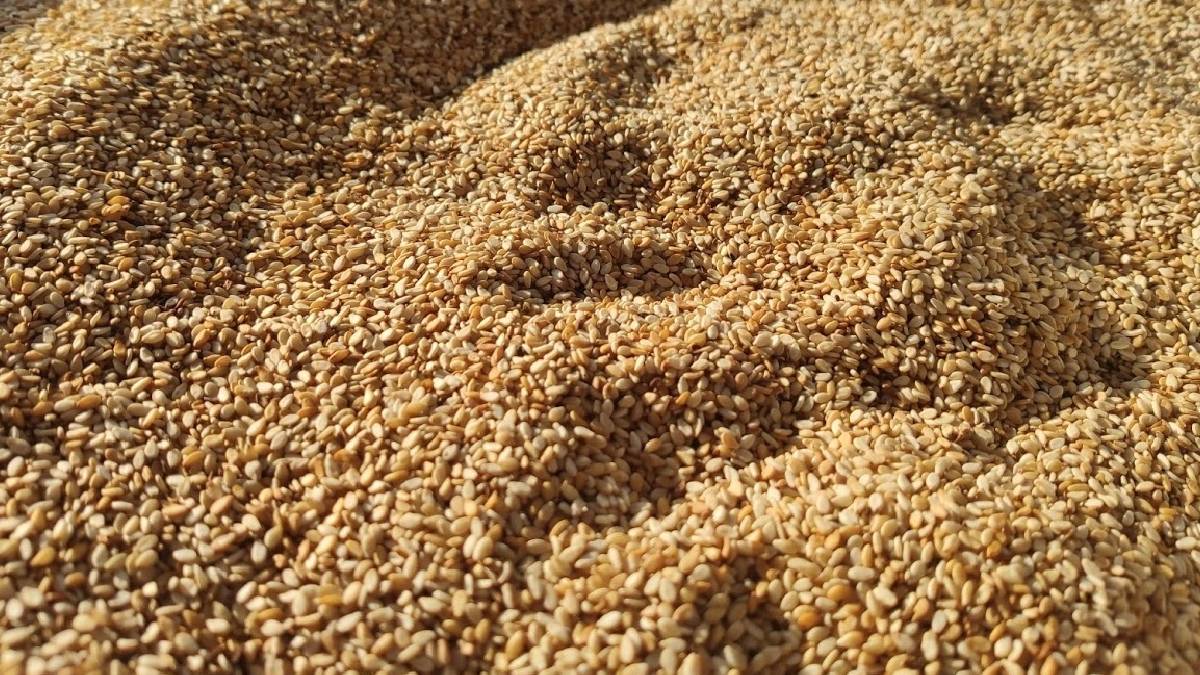 Faydası kadar zararı da var! Simitten, kurabiyeye her şeyde tüketiyoruz: Aşırı tüketim mide, bağırsak ve böbrekleri etkiliyor