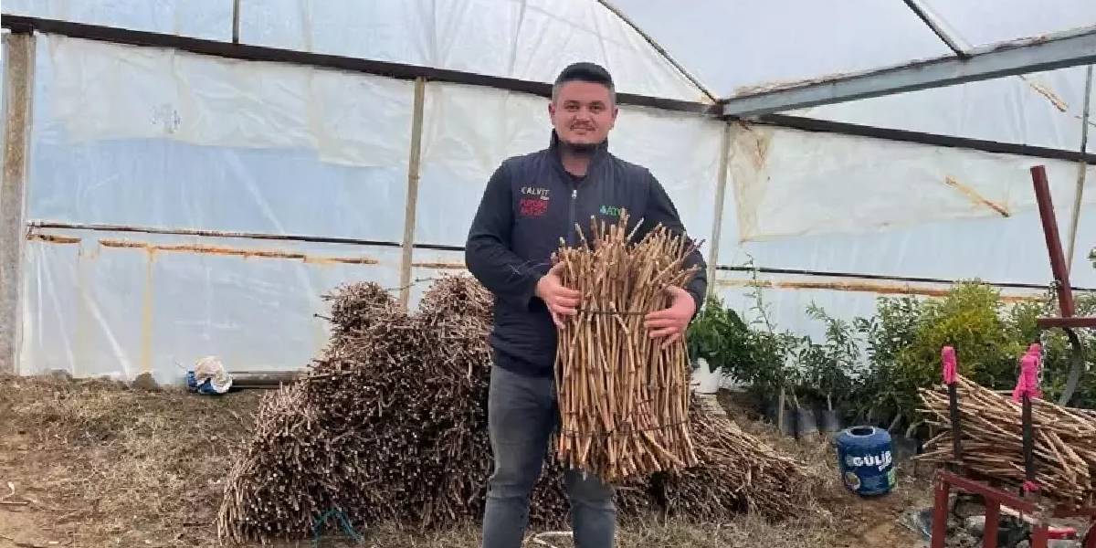 700 bin tane üretiyorlar, rekora imza atıyorlar! Mühendis kardeşler 3 bölgede hakimiyet kurdu