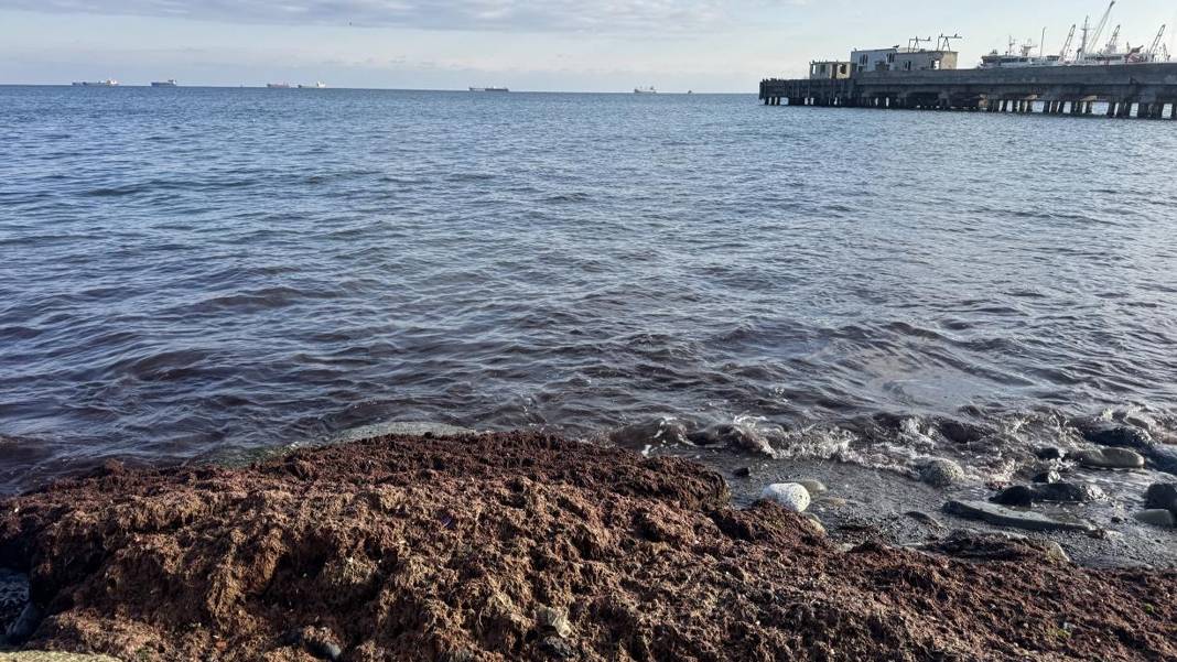 Tekirdağ sahili kırmızıya boyandı: 3 günlük lodosun ardından ilginç görüntü