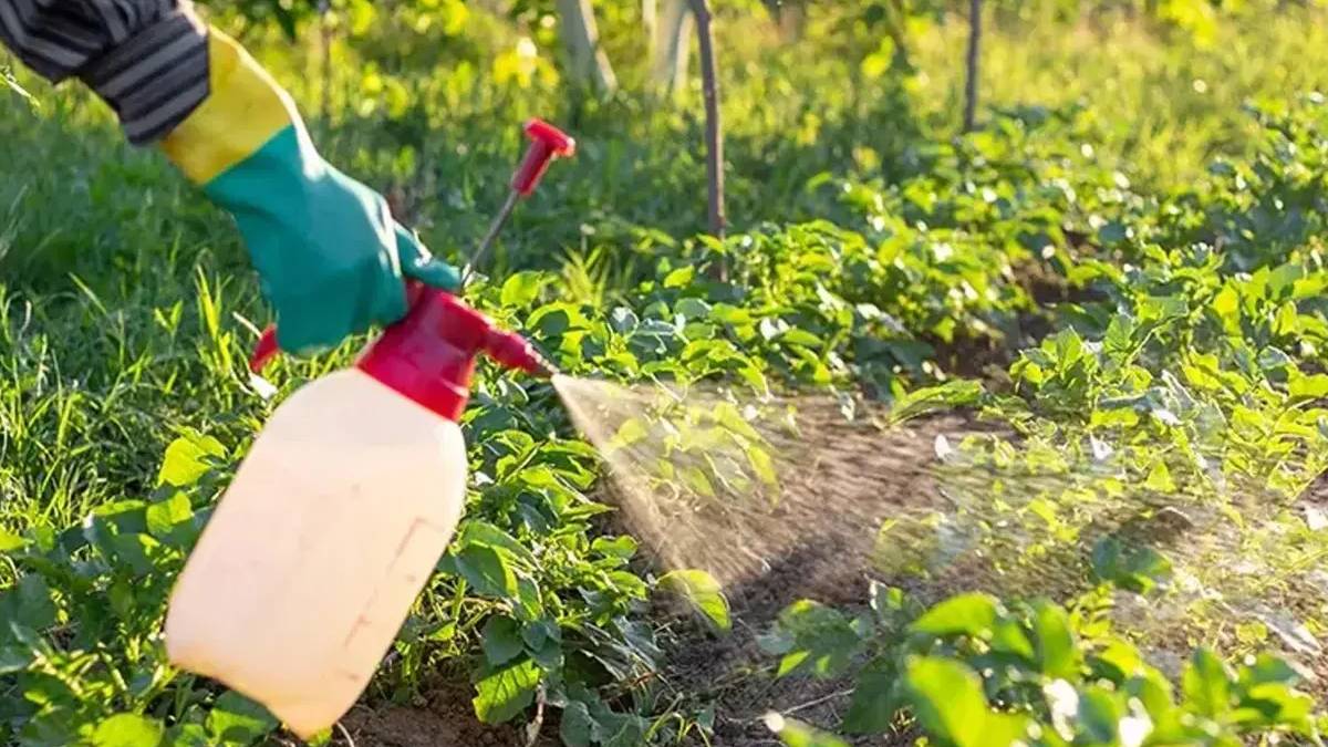 Tarımda yeni dönem: B-Reçete başlıyor