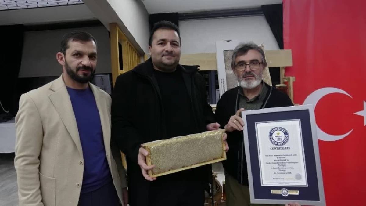 Çankırı Ilgaz’dan çıktı, dünyanın en pahalısı oldu! Kilosu 11 bin 118 Euro’ya  satıldı