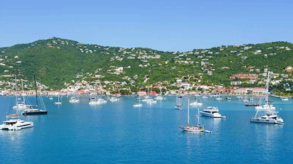 Grönland tartışması yeniden alevlendi: Danimarka Virgin Adaları’nı neden ABD’ye sattı?