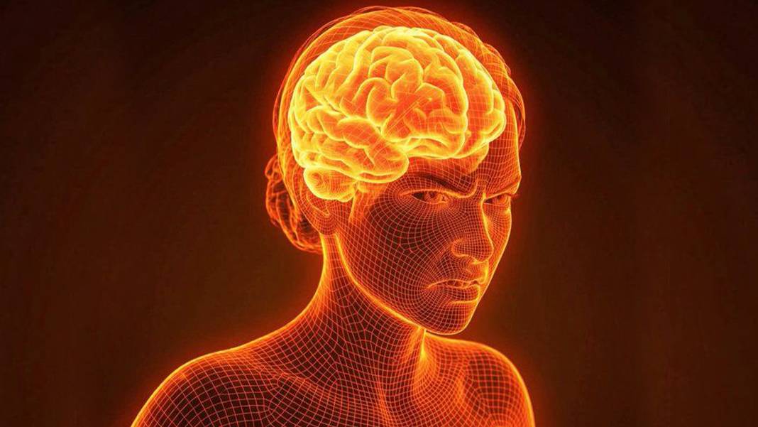 Sürekli şikayet etmek beyni fiziksel olarak değiştiriyor: Stanford Üniversitesi'nden çarpıcı 'mutsuzluk' uyarısı