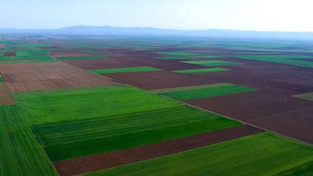 Alpu Ovası için tarihi karar! Danıştay bir kez daha “dur” dedi