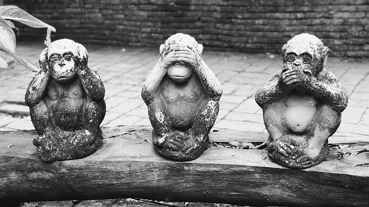 Demokrasinin gizli düşmanı: Chilling Effect